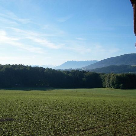 Appartamento Haus Wegscheider Teisendorf Esterno foto