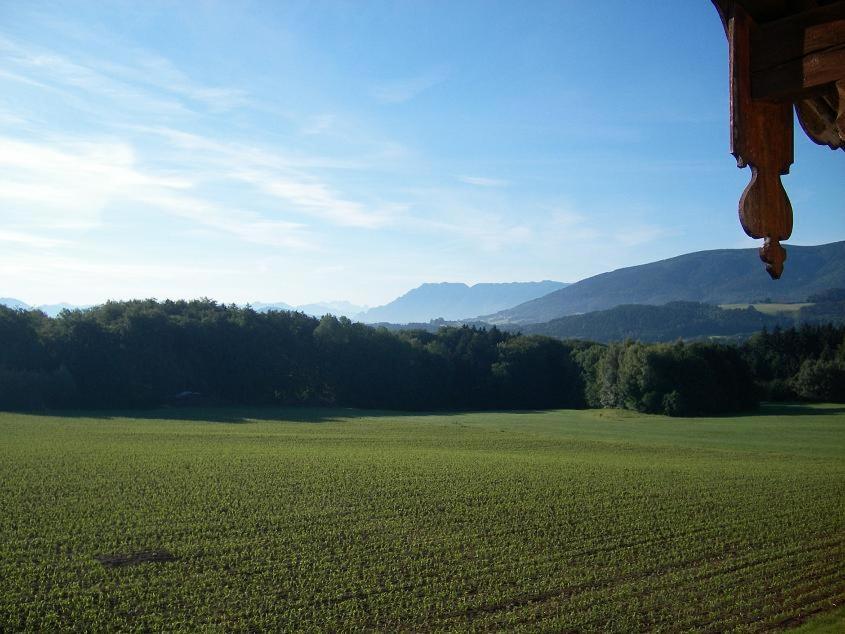 Appartamento Haus Wegscheider Teisendorf Esterno foto
